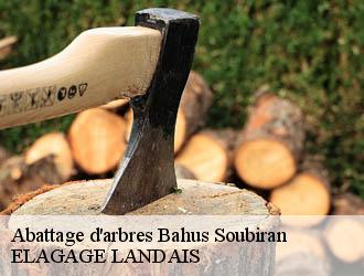 Abattage d'arbres  bahus-soubiran-40320 ELAGAGE LANDAIS