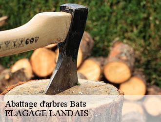 Abattage d'arbres  bats-40320 ELAGAGE LANDAIS