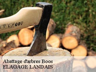 Abattage d'arbres  boos-40370 ELAGAGE LANDAIS