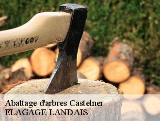 Abattage d'arbres  castelner-40700 ELAGAGE LANDAIS