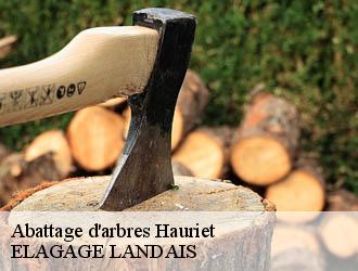 Abattage d'arbres  hauriet-40250 ELAGAGE LANDAIS