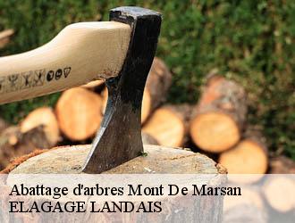 Abattage d'arbres  mont-de-marsan-40000 ELAGAGE LANDAIS