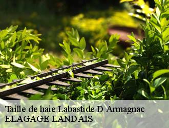 Taille de haie  labastide-d-armagnac-40240 ELAGAGE LANDAIS