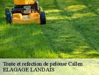 Tonte et refection de pelouse  callen-40430 ELAGAGE LANDAIS