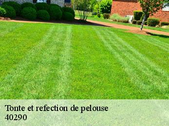 Tonte et refection de pelouse  40290