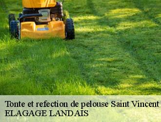 Tonte et refection de pelouse  saint-vincent-de-tyrosse-40230 ELAGAGE LANDAIS