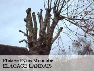 Etetage  eyres-moncube-40500 ELAGAGE LANDAIS