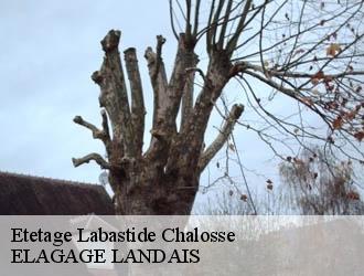 Etetage  labastide-chalosse-40700 ELAGAGE LANDAIS