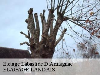 Etetage  labastide-d-armagnac-40240 ELAGAGE LANDAIS