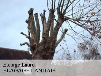 Etetage  lauret-40320 ELAGAGE LANDAIS