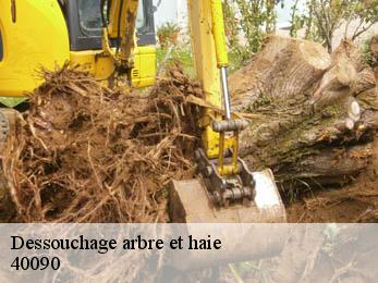 Dessouchage arbre et haie  40090